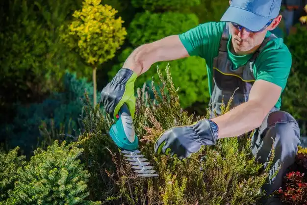 landscaping services Moorland